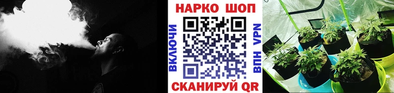 Где купить наркоту Сертолово Псилоцибиновые грибы  Cocaine  МЕТАДОН  Гашиш  Конопля  A PVP 