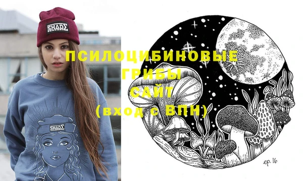 дживик Дедовск