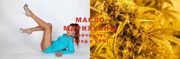 мдпв Няндома