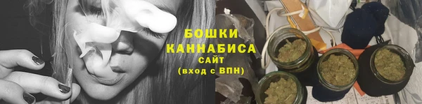 мдпв Няндома