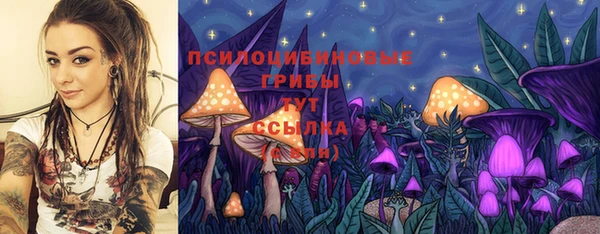 синтетический гашиш Нязепетровск