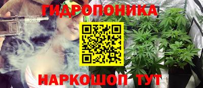 PSILOCYBIN Бугуруслан