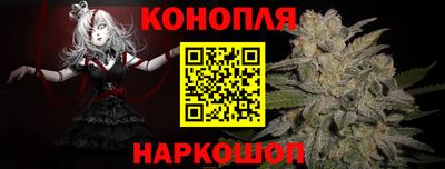 сатива Балахна