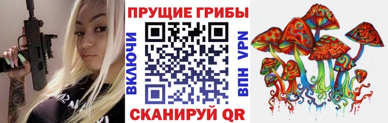Галлюциногенные грибы Cubensis  Сертолово 