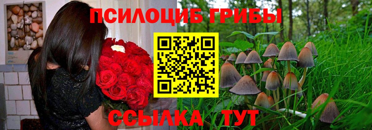Псилоцибиновые грибы мицелий Сертолово