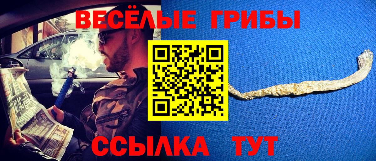 Галлюциногенные грибы MAGIC MUSHROOMS Сертолово